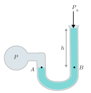 CK12-Foundation