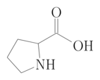 CK12-Foundation