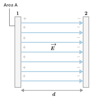 CK12-Foundation