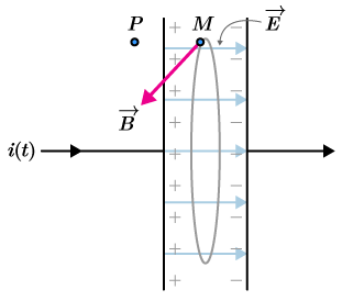 CK12-Foundation