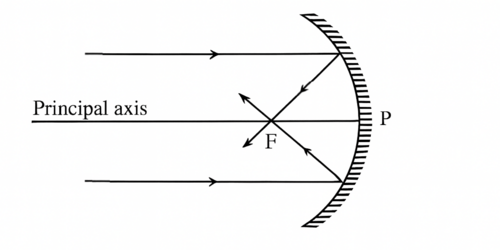 CK12-Foundation