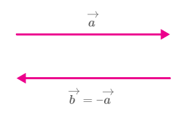 CK12-Foundation
