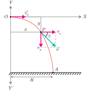CK12-Foundation