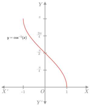 CK12-Foundation