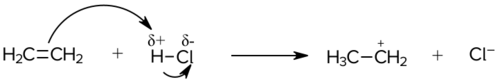 CK12-Foundation