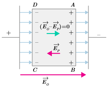CK12-Foundation
