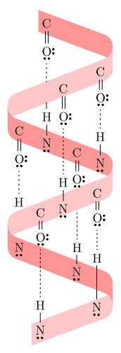 CK12-Foundation